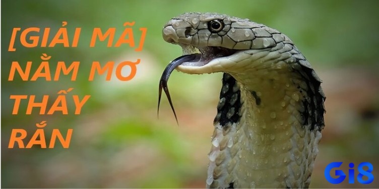 Giả mã giấc mơ thấy rắn thì đánh lô con gì chi tiết