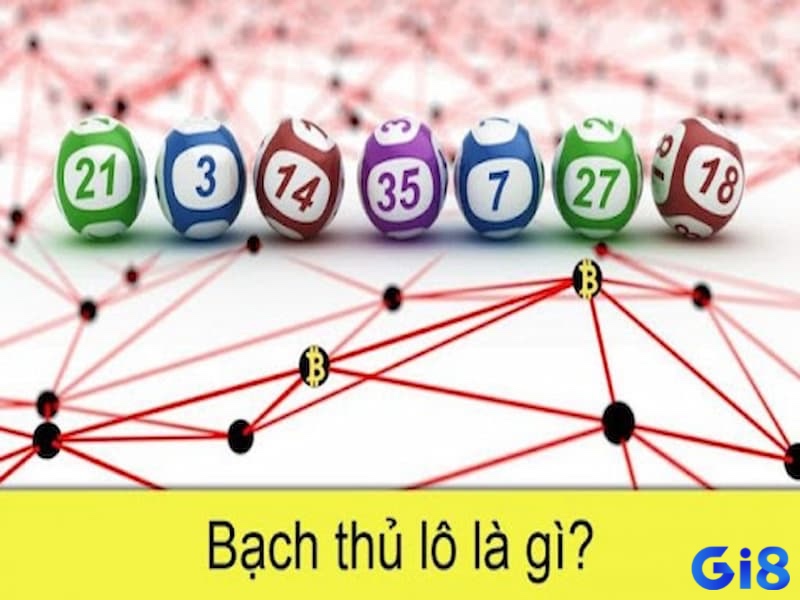 Cùng gi8 khám phá bạch thủ lô nghĩa là gì nhé