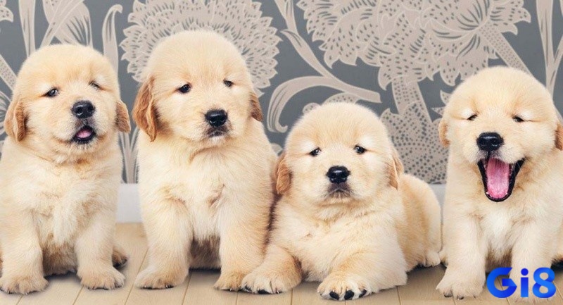 Nắm rõ dự báo để chuẩn bị cho mọi sự thay đổi 