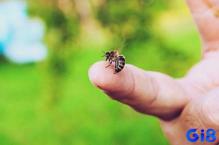 Giấc mơ thấy bị ong đốt trong bối cảnh xã hội thể hiện sự không thoải mái trong giao tiếp xã hội