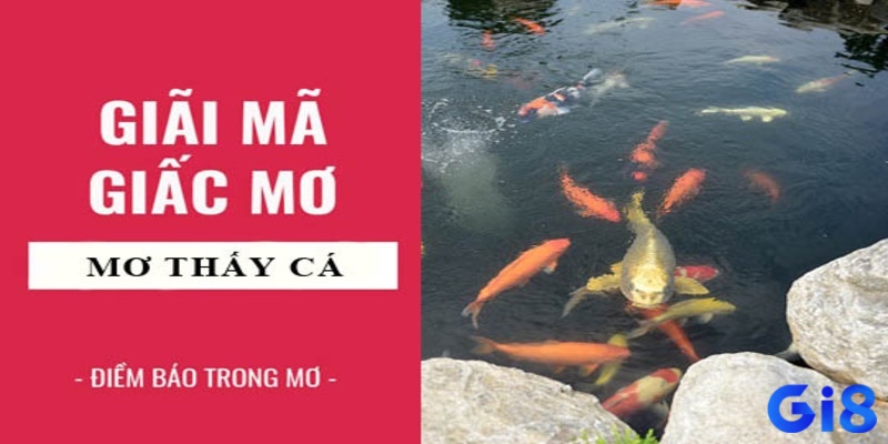 Gi8 giúp bạn giải mã giấc mơ mơ thấy cá đánh lô đề con gì để tìm ra con số may mắn phù hợp